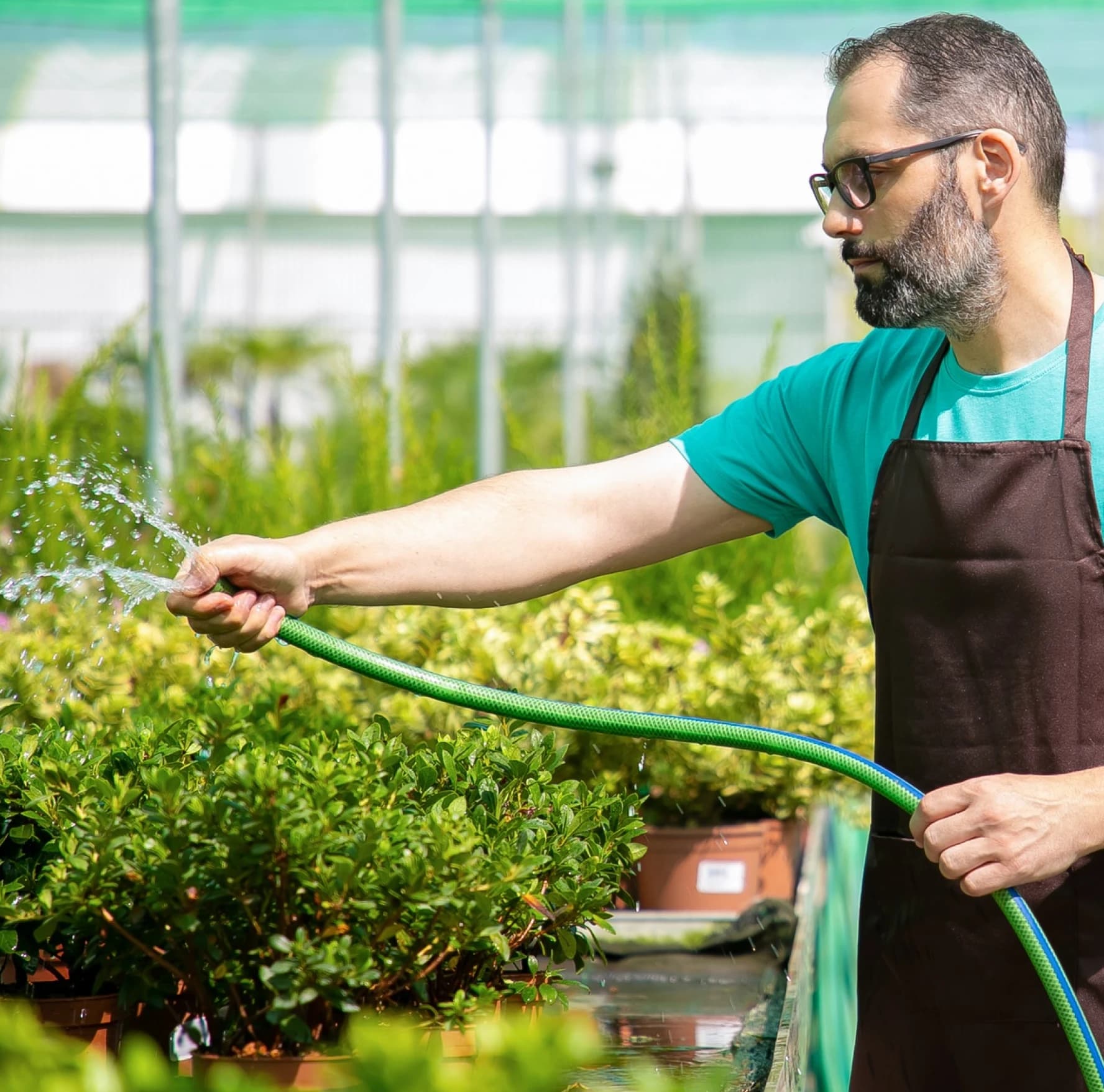 Farm Business, Strategy & Sustainability