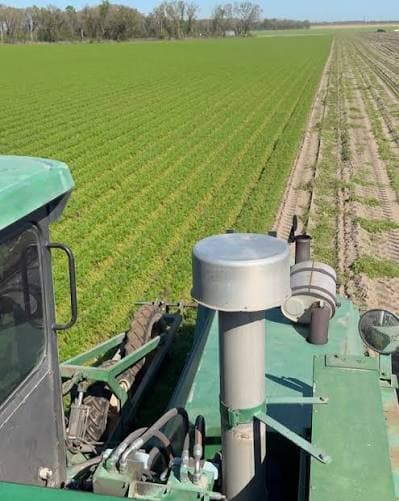Why farming looks easy For first timers