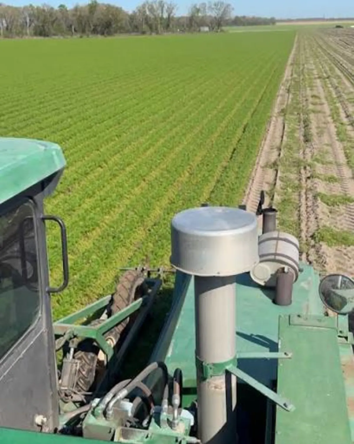 Why farming looks easy For first timers